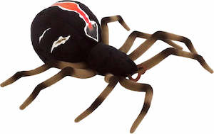 Katipo Spider Antics