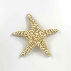 Objects Ornaments: Ceramic Sea Star - Sand