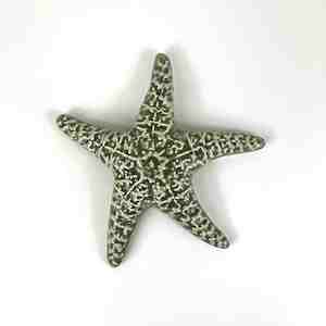 Objects Ornaments: Ceramic Sea Star - Sage