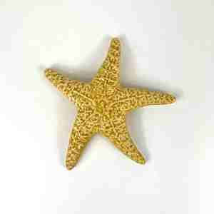 Objects Ornaments: Ceramic Sea Star - Yellow