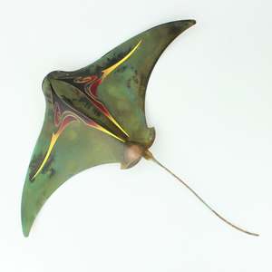 Pacific Ray Extra Large