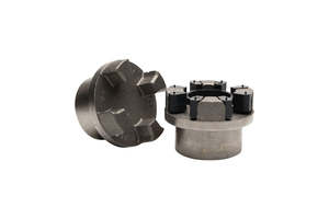 Flender 53 BIPEX Type BWN Coupling