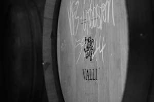 Nz Wine Club: Valli - 12 Bottle