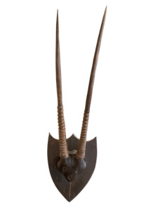Wall Decor: Antique Oryx Gazelle Antler Mount