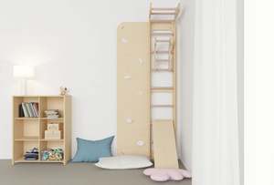 Swedish Ladder | Indoor Gym And Rock Climbing Wall | Birch Ply