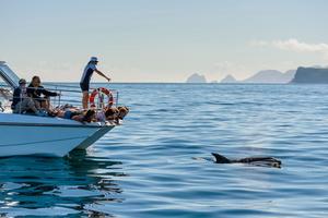 Products: Bay of Islands – 3-Day – Adults