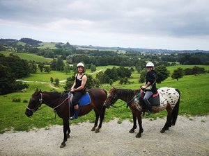 Products: Horse Riding and Sheep World- Adults
