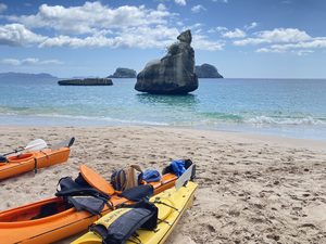 Products: Coromandel – 2 Day Weekend Tour (Adults)