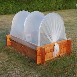 Products: KiwiBackYard Cloche