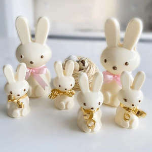 Easter Bunny 3d chocolate mould Medium