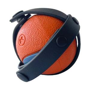 Ball Holder
