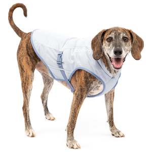 Gear Safety: Kurgo Cooling Vest