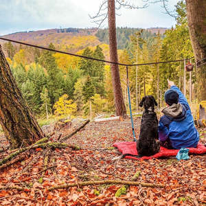 Gear Safety: Kurgo Camping Tether
