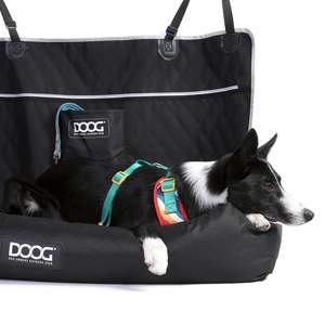 Gear Safety: DOOG Car Seat