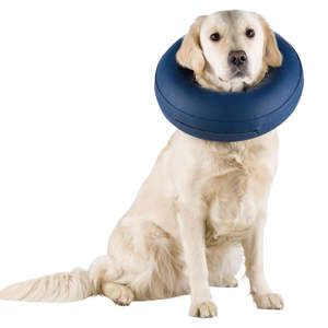 Gear Safety: Inflatable Collar