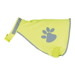 Gear Safety: Hi-Vis Safety Vest