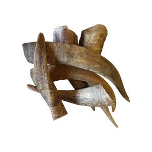 Goat Horn