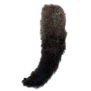 Kiwi Feline: Possum Tail