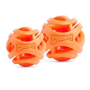 ChuckIt Air Ball