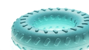 Fun Games: Playology Ring