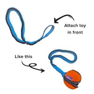 Bungee Handle
