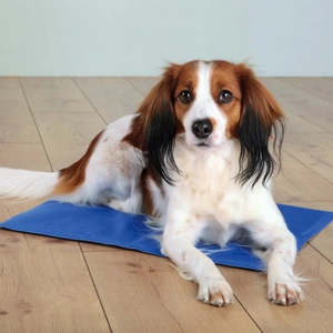 Cooling Mat