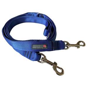 Training Lead