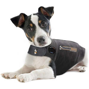 ThunderShirt
