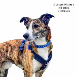 Products: Perfect Fit Harness