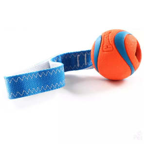 Training: ChuckIt Tugs