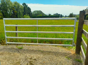 5 rail gate: Cattle Yard Gate 3100mm 5 Rail
