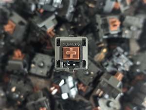 Keyboard Switches: Cherry MX Buttered Brown