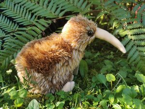 Products: Kiwi Chick Soft Toy with Sound