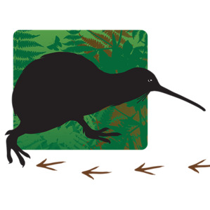 Products: Sponsor Kiwi