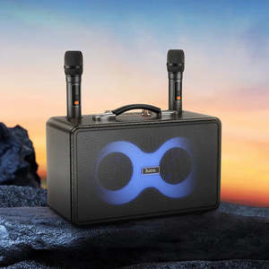 Entertainment Speakers: 40W Peak Power Bluetooth Speaker w/ 2 Wireless Microphone, RGB Light (HA8)