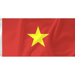 Vietnam Flag
