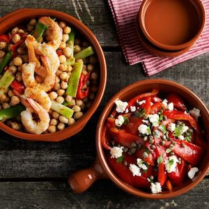 Baking Oven Dishes: Regas Spanish Terracotta Paella Frying Pan Dishes (4 sizes) *** REDUCED TO CLEAR - 15% OFF! ***