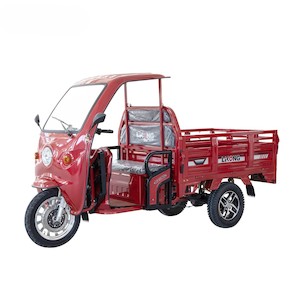 Electric Cargo Trike Scooter E Tricycle - Kiwi Hoverboard & Scooter