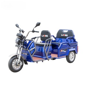 Electric cargo/Passenger 2 in 1 tricycle - Kiwi Hoverboard & Scooter