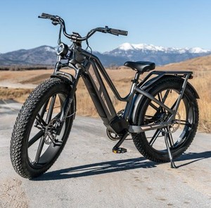 Products: FIIDO Titan Fat Tire E-bike - Kiwi Hoverboard & Scooter