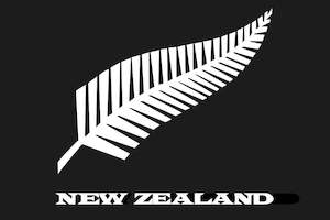 Other Souvenirs: Silver Fern Flag