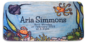 Birthday Puzzle - NZ Ocean