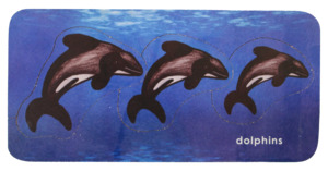 Polynesia: Dolphins Seriation puzzle