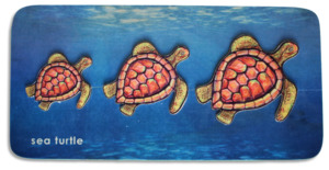 Polynesia: Sea Turtles Seriation puzzle