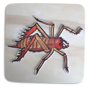 Native Wildlife: Weta puzzle