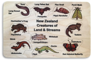 NZ Creatures of Land & Stream puzzle