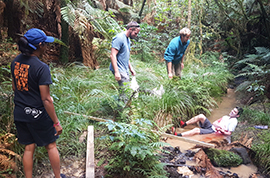 Products: Outdoor First Aid firstaidnorthland.co.nz
