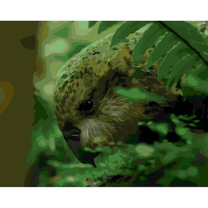 NZ Native Birds: Kakapo