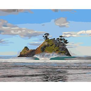 Frontpage: Whangapoua Beach