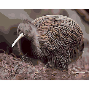 New Zealand Native Birds: Little Brown Kiwi